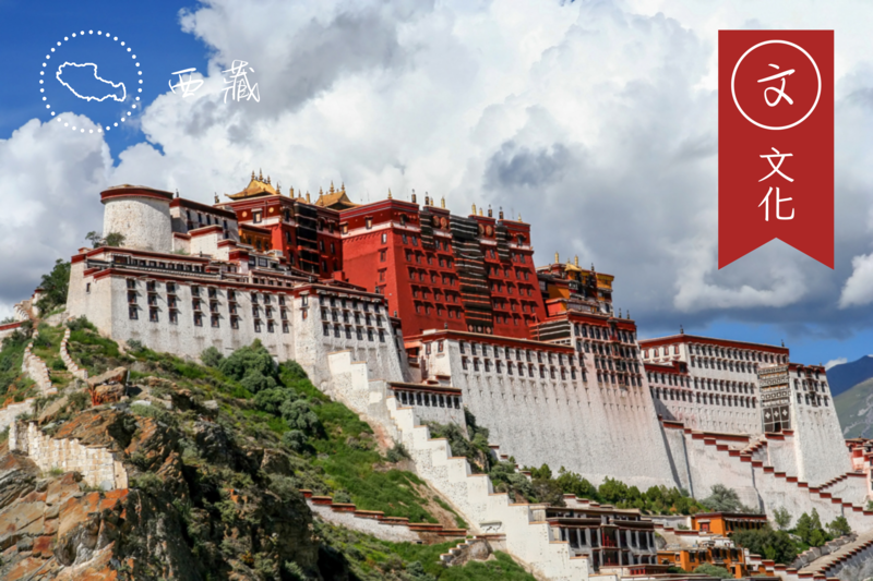 專業西藏金鑽11天